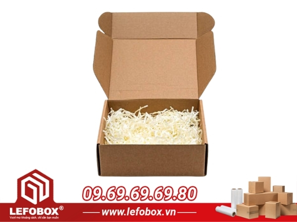 Hộp carton đóng hàng vận chuyển nắp gài